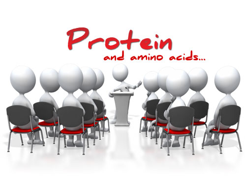 Protein_WhtBrd